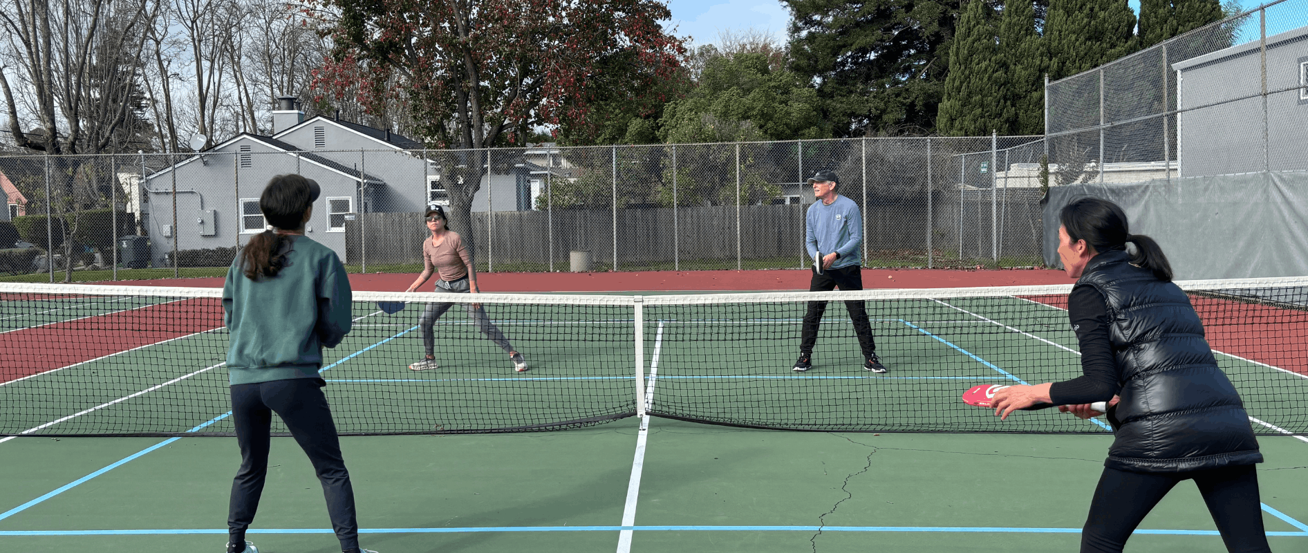 Pickleball Lessons (1)